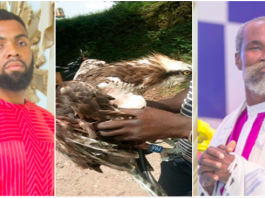 Video: “I met Adom Kyei Duah in 2014 and did rituals for him at 11am in his church” – Rev Obofour confesses I met Adom Kyei Duah in 2014 and did rituals for him at 11am in his church – Rev Obofour confesses